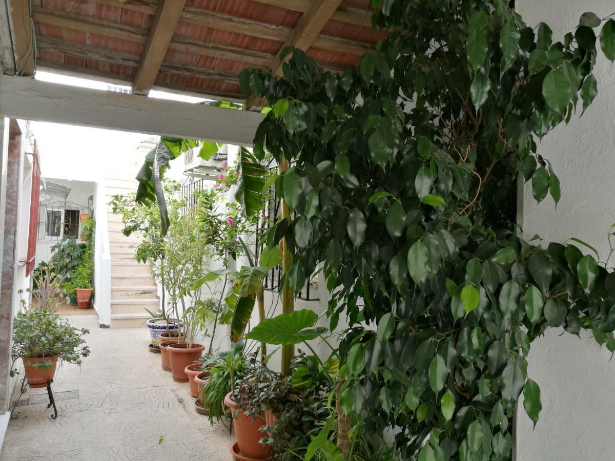 Casa Carmeleni - Ole Solutions Βίλα Χέρεζ Εξωτερικό φωτογραφία